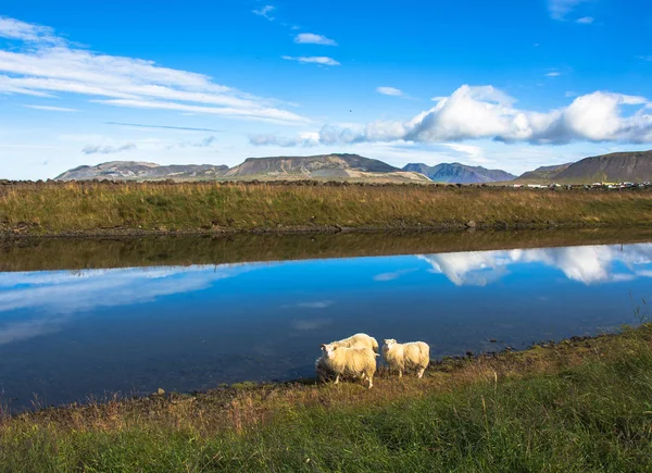 Sommar solnedgång över det berömda Kirkjufellsfoss-vattenfallet — Stockfoto