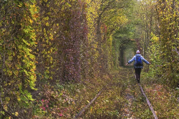 The real natural wonder - love tunnel created from trees along the railway in Ukraine, Klevan. Autumn in Ukraine — Stock Photo, Image