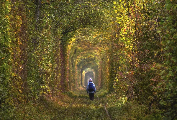 Old abandoned railway with natural tounel from trees — Stock Photo, Image
