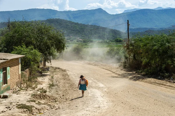 Estrada Aberta Levando em Montanhas, Bolívia — Fotografia de Stock