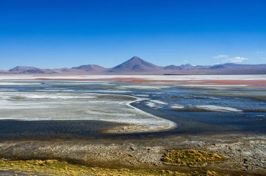 Flamingolar Laguna Colorada, Uyuni, Bolivya