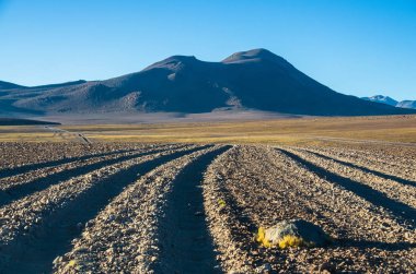 Yola yakın Laguna Colorada, Uyuni, Bolivya