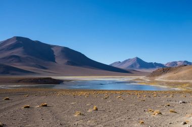 Laguna Verde volkanlar Licancabur ve Juriques - Eduardo Avaroa and Fauna National Reserve, Bolivya'nın eteklerinde bir tuz gölü olduğunu