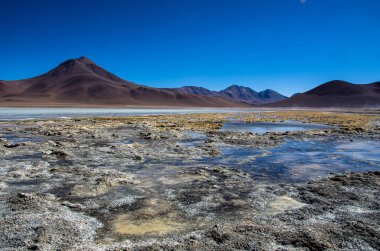 Bolivya altiplano Uyuni tuz düz yakınındaki flamingolar Laguna Hedionda içinde bulunan