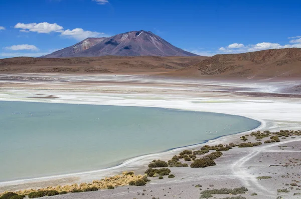 Laguna Verde volkanlar Licancabur ve Juriques - Eduardo Avaroa and Fauna National Reserve, Bolivya'nın eteklerinde bir tuz gölü olduğunu — Stok fotoğraf