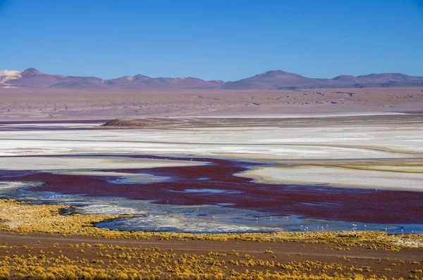 Flamingi w Laguna Colorada, Uyuni w Boliwii — Zdjęcie stockowe