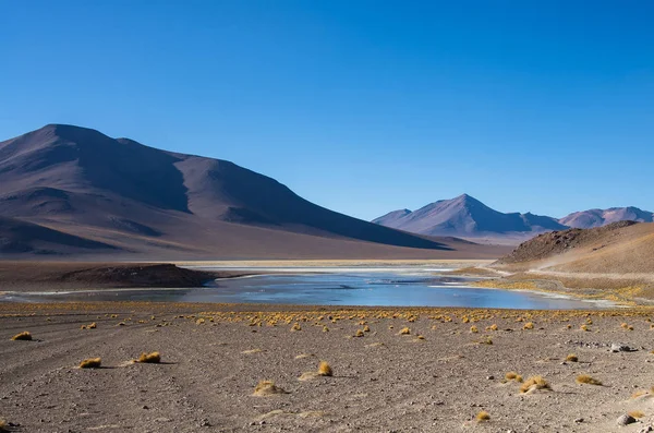 Лагуна-Верде - соленое озеро у подножия вулканов Ликанкабур и Факес - национальный заповедник андской фауны, Боливия — стоковое фото