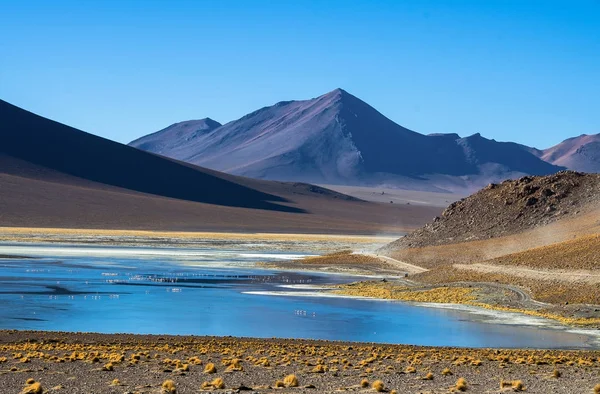 Laguna Verde είναι μια λίμνη αλάτι στους πρόποδες των ηφαιστείων Licancabur και Juriques - Eduardo Avaroa των Άνδεων πανίδα εθνικό απόθεμα, Βολιβία — Φωτογραφία Αρχείου