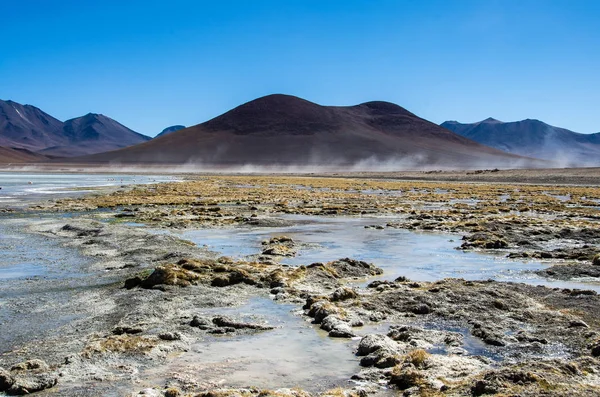 Φλαμίνγκο στη Laguna Hedionda βρίσκεται στη βολιβιανή altiplano κοντά του Σαλάρ Ντε Ουγιούνι — Φωτογραφία Αρχείου