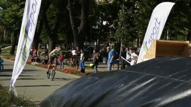 Bicicleta saltar árboles — Vídeos de Stock