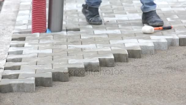 Pavimentación de piedra trabajador — Vídeos de Stock