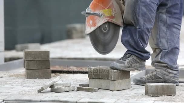 Werknemer de straatstenen van de baksteen snijden — Stockvideo