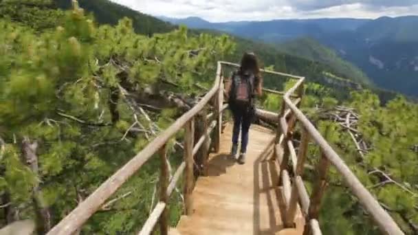 Wooden bridge viewing side young woman — Stock Video