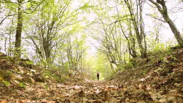 Una atleta corriendo en el bosque. Deslizador de diapositivas — Vídeos de Stock