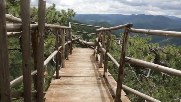Wooden bridge viewing side — Stock Video