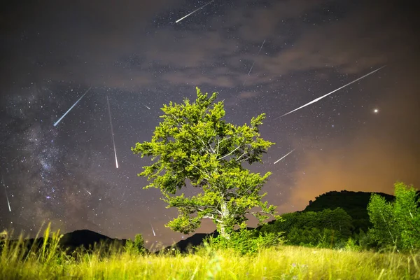 Yeşil ağaç Samanyolu Meteor yağmuru — Stok fotoğraf
