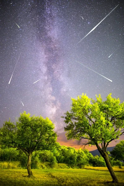 Зеленые деревья Млечный путь ночное небо падающие звезды — стоковое фото