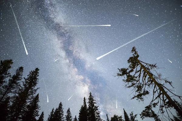Pine trees silhouette Milky Way falling stars — Stock Photo, Image