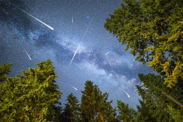 Pine trees silhouette Milky Way meteor shower — Stock Photo, Image