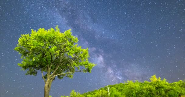 4 k plommonträd Vintergatan komet läge fallande stjärnor — Stockvideo