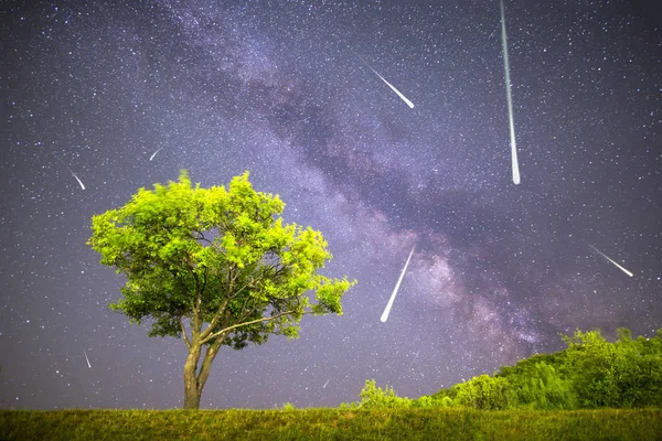 Green tree Milky way night sky falling stars — Stock Photo, Image