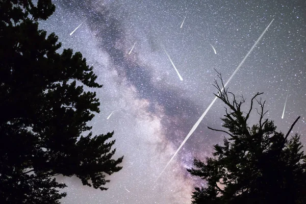 松の木のシルエットの天の川流れ星 — ストック写真
