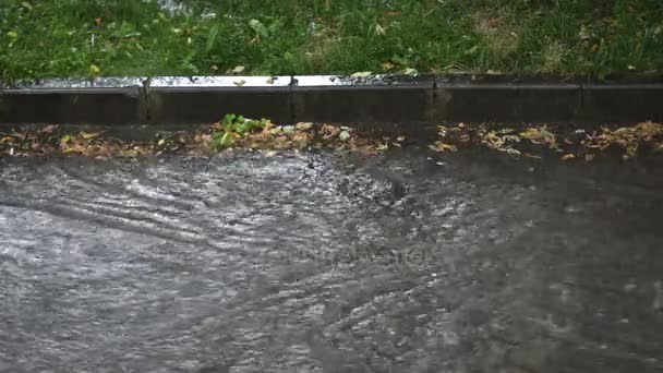 Tempête de pluie forte — Video