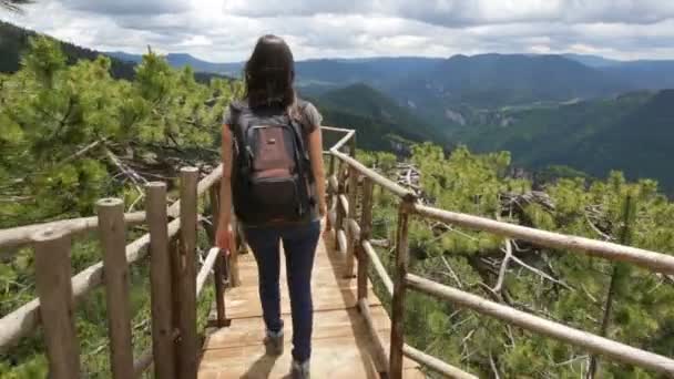 Wooden bridge viewing side young woman — Stock Video