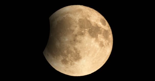 Eclipse lunar - Lua Cheia Luna — Vídeo de Stock