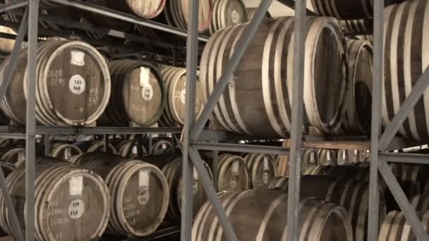 Виски и коньячный завод — стоковое видео