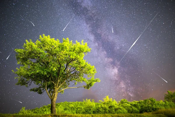 Green tree Milky way night sky falling stars — Stock Photo, Image