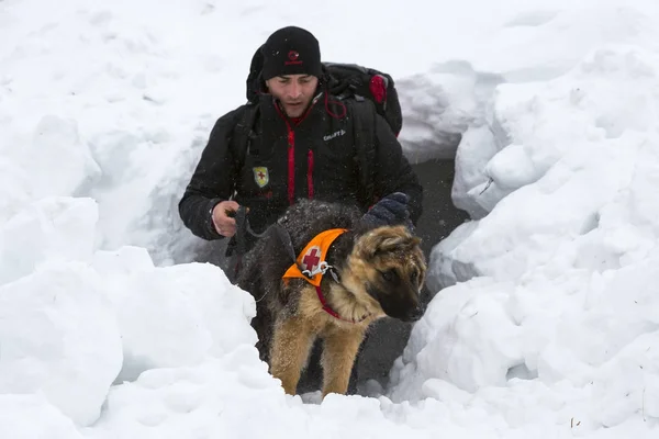 Röda korset räddare med hund — Stockfoto