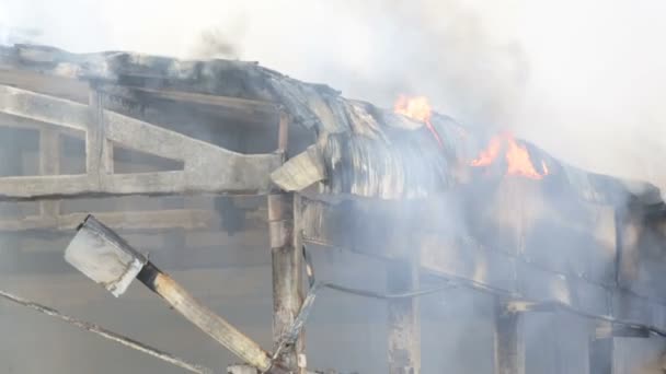 Grande desastre de incêndio em um armazém — Vídeo de Stock