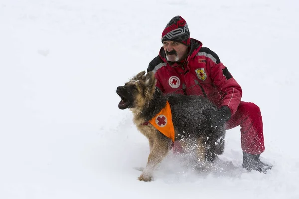 Cruz Roja rescatador con perro —  Fotos de Stock