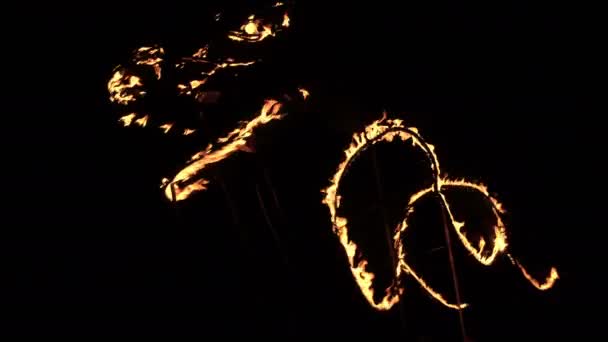 Silueta Dragón Fuego Durante Espectáculo Fuego Noche Oscura Dragón Fuego — Vídeos de Stock