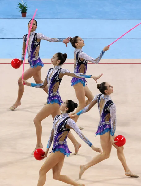 Team Israel Gymnastique rythmique — Photo