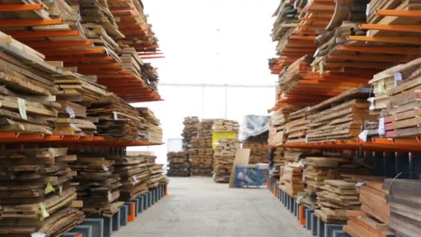 Houten Planken Een Fabriek Industrie Van Hout Houtmaterialen — Stockvideo