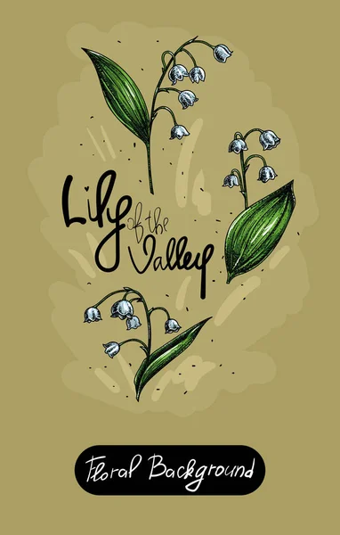 Vector set of painted flowers. Floral background. Lily of the valley color Royalty Free Stock Vectors