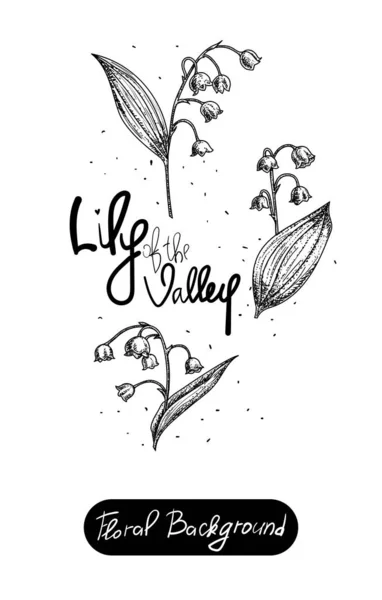 Vector set of painted flowers. Floral background. Lily of the valley black Royalty Free Stock Vectors