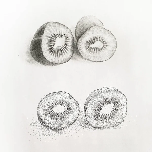Kiwi Cutaway Martwa Natura Kiwi Realizm Ołówku Ilustracja Ołówkiem Technika — Zdjęcie stockowe