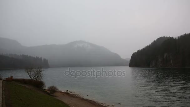 Lake Alpsee, Almanya — Stok video