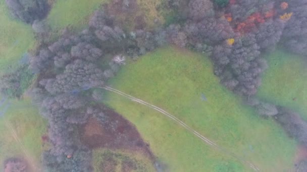 Forêt d'automne d'en haut — Video