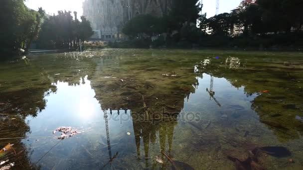 La Sagrada Familia reflejada en el lago — Vídeo de stock