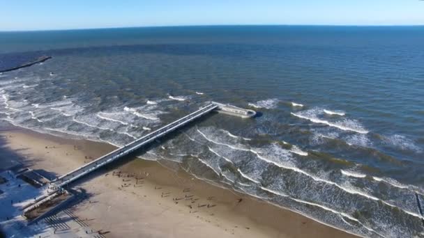 Aerial view of the pier at the beach — Stock Video