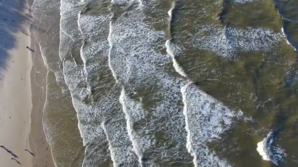 Ondas oceánicas, vista aérea — Vídeo de stock