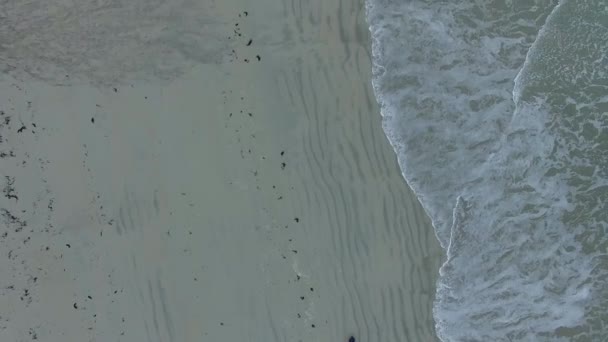 Rambergstranda beach i Lofoten öarna — Stockvideo