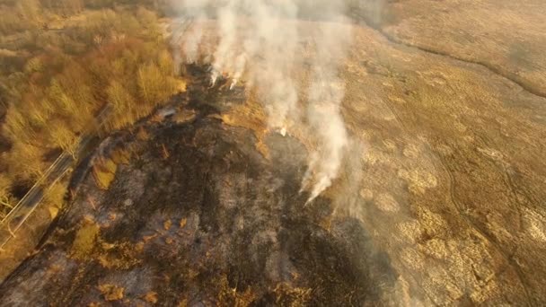 Incendie printanier par temps sec 