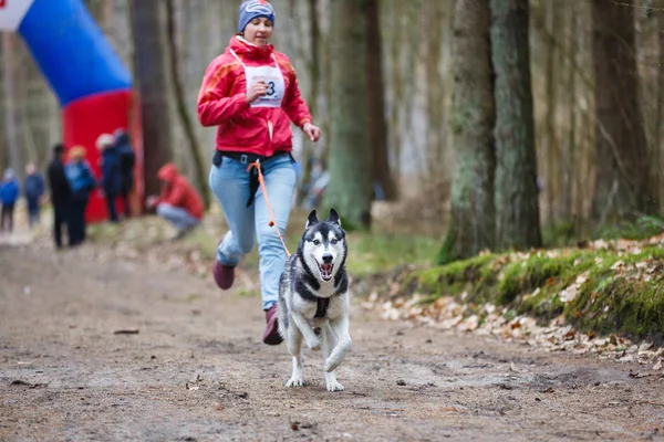 Toprak Ülke'yi kızak köpek yarışları