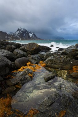 Vareid, Lofoten Adaları