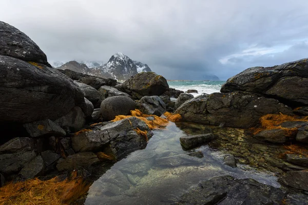 Vareid, Lofoten 섬 — 스톡 사진